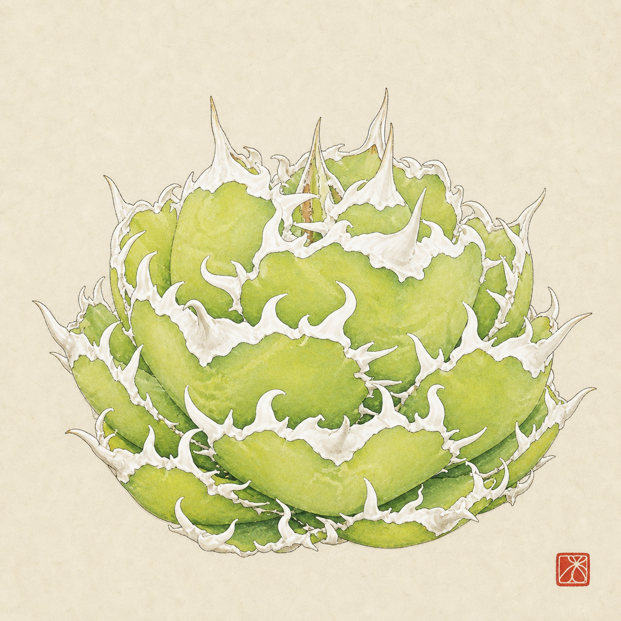 アガベ 白火焔の墨絵